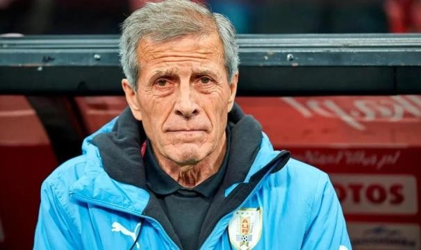 天博体育内容-王勤伯：塔瓦雷斯老师的遗产